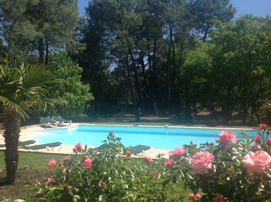 Le Clos Des Cigales Roussillon en Isere Zimmer foto