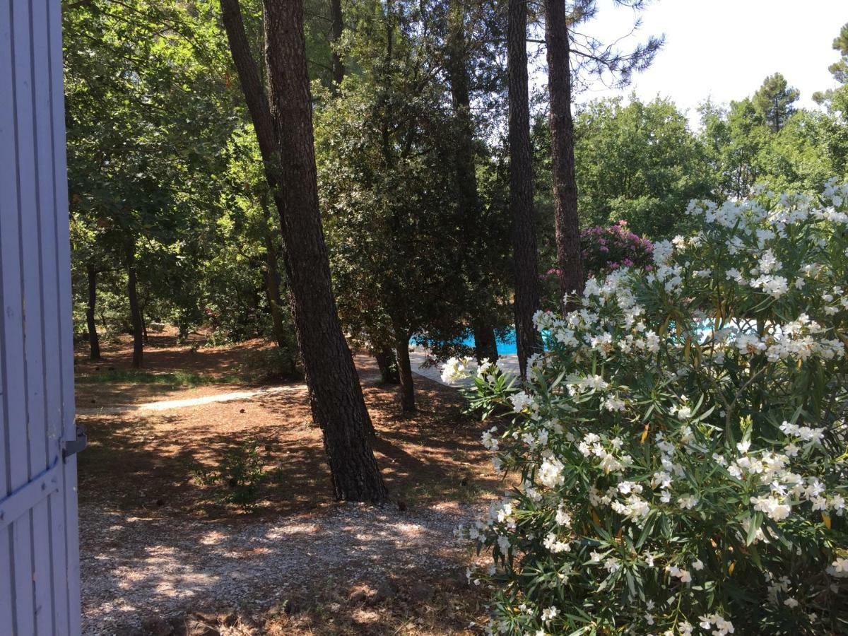 Le Clos Des Cigales Roussillon en Isere Exterior foto